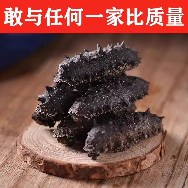 🐚 大连9A级 · 长海县正宗野生海参礼盒（500克）