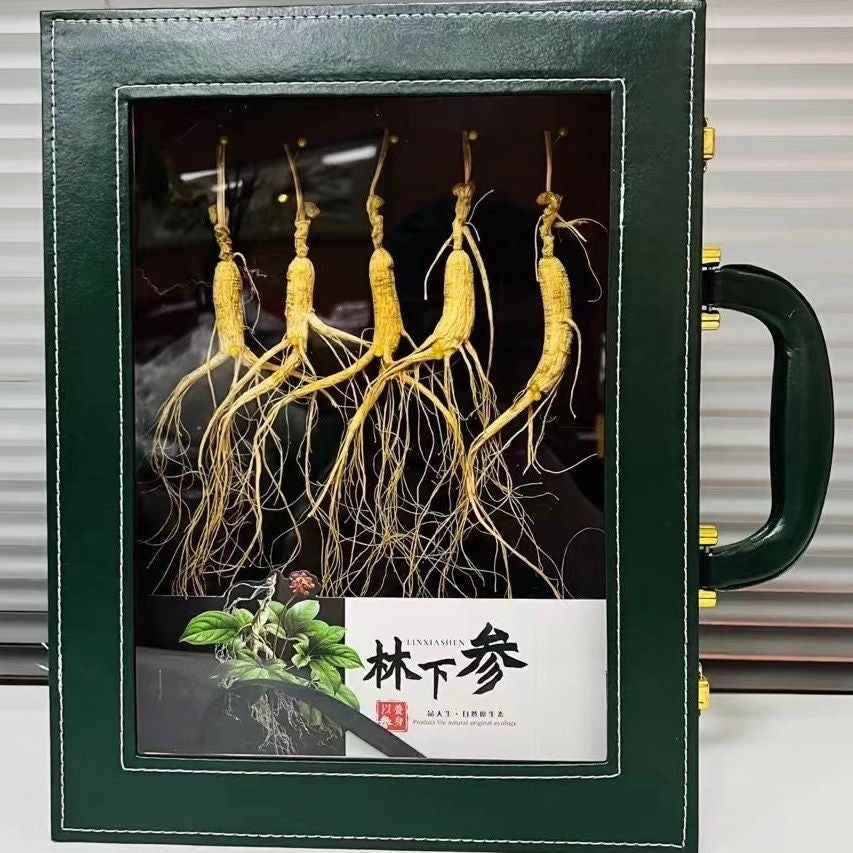 🌿长白山 东北特产人参礼盒｜5支装 高档整枝